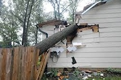 Home Damaged by Fallen Tree
